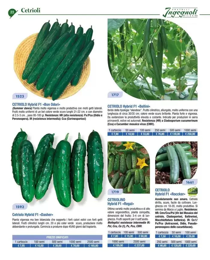 Catalogo guida 2025 da 20 gennaio a 31 dicembre di 2025 - Pagina del volantino 24