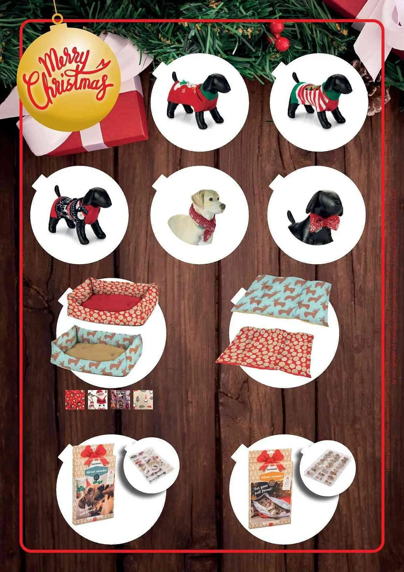 Volantino ZooPlanet da 29 ottobre a 28 novembre di 2025 - Pagina del volantino 3