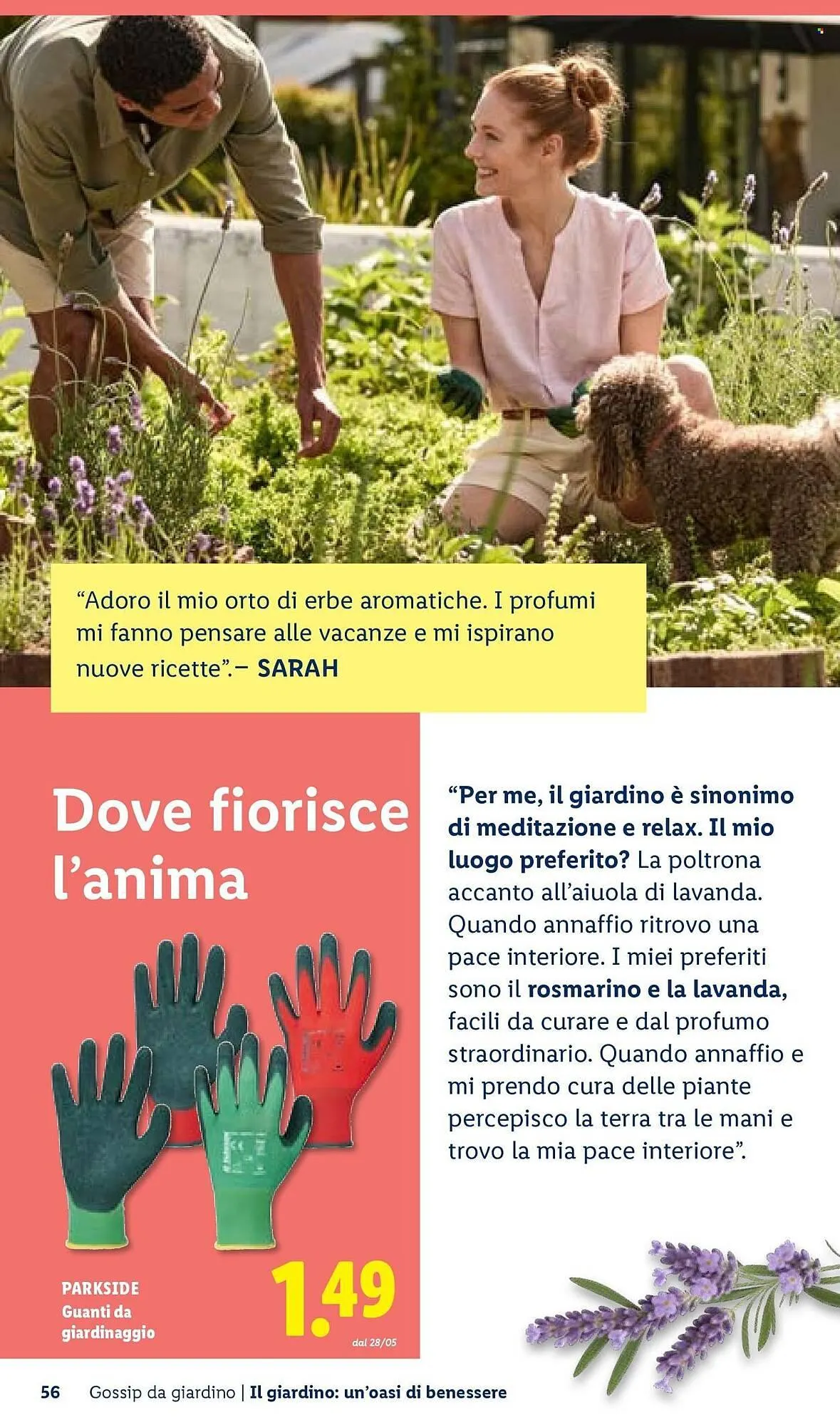 Volantino Lidl da 22 aprile a 30 aprile di 2026 - Pagina del volantino 56