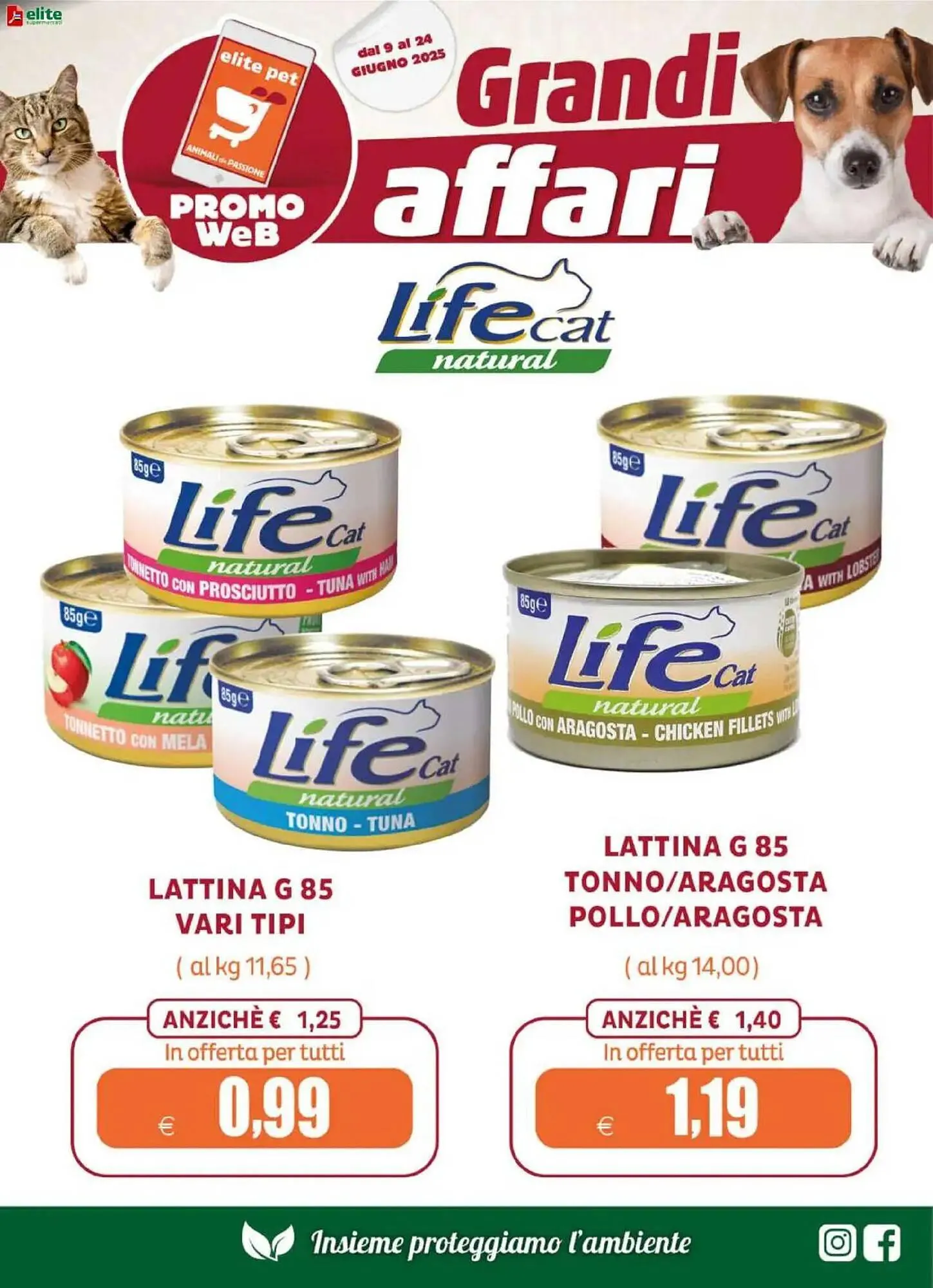 Volantino Elite Pet da 9 giugno a 24 giugno di 2025 - Pagina del volantino 20