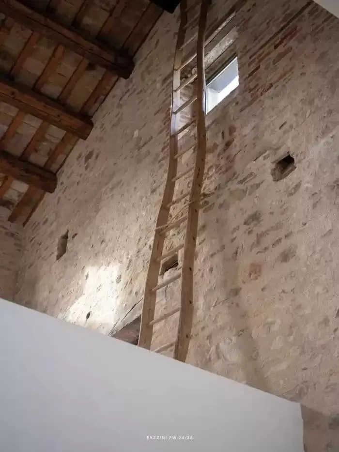 Fazzini collezione da 21 ottobre a 31 dicembre di 2025 - Pagina del volantino 13