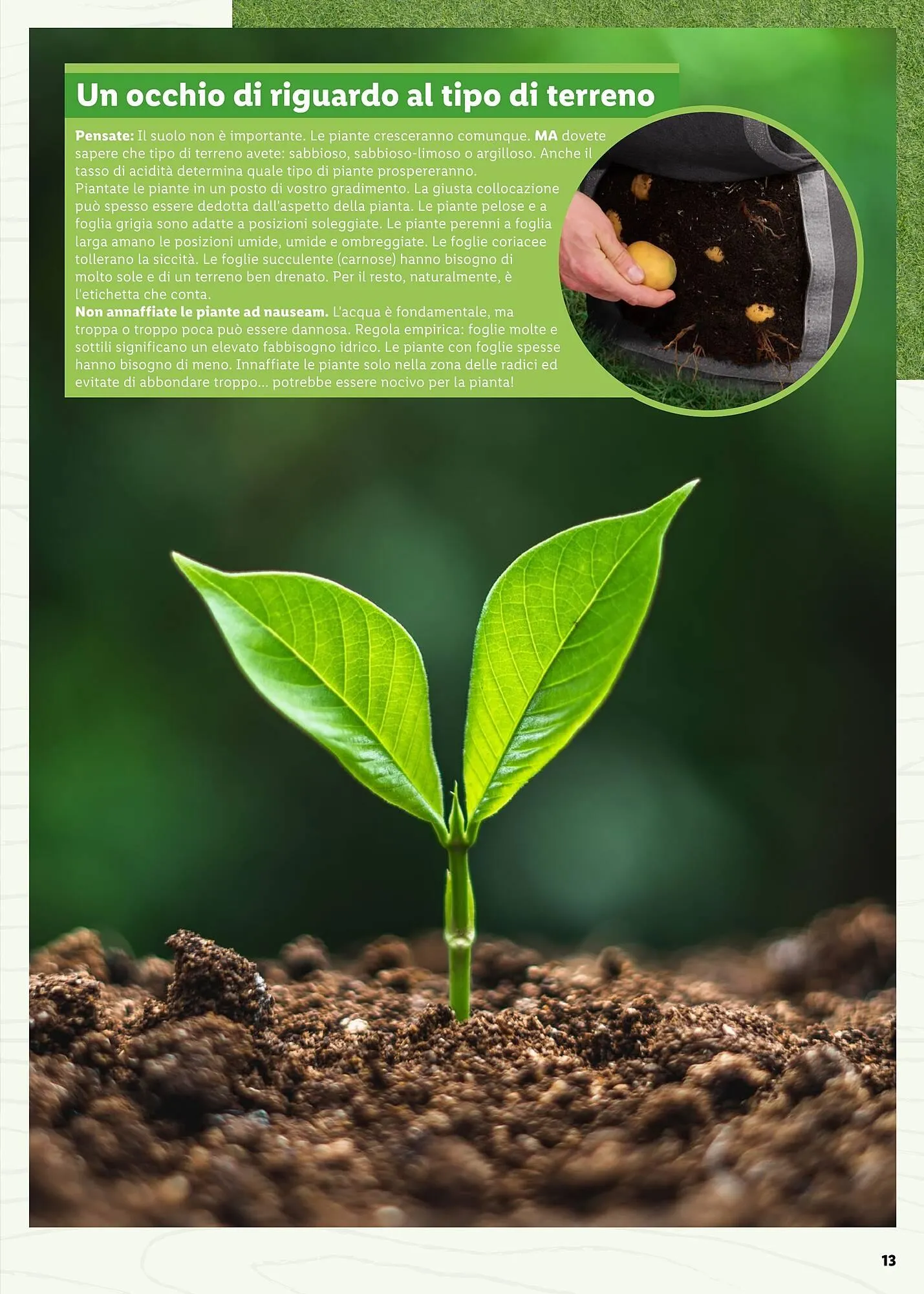 Volantino Lidl da 4 aprile a 31 maggio di 2025 - Pagina del volantino 13