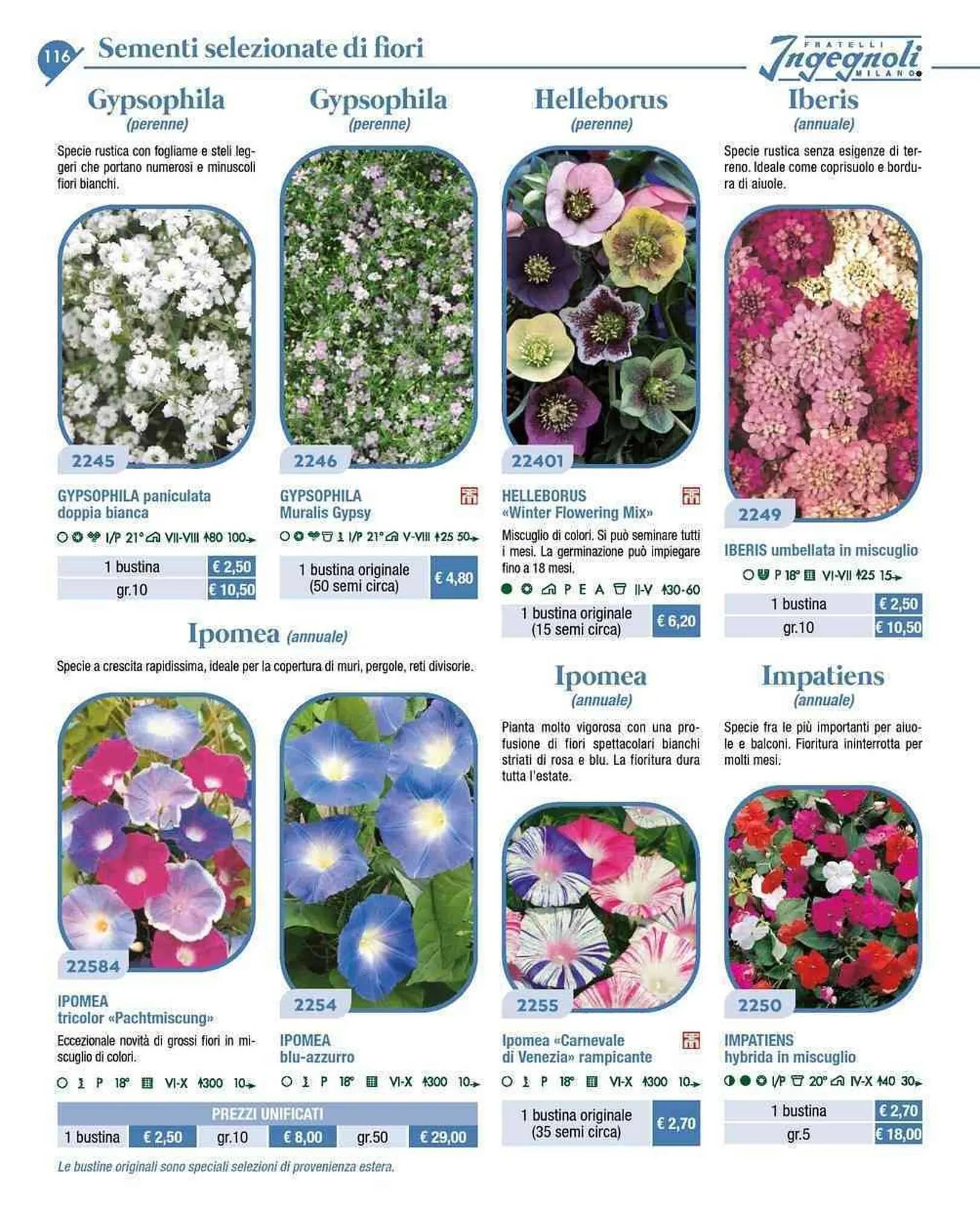 Volantino Ingegnoli da 4 novembre a 31 dicembre di 2025 - Pagina del volantino 13