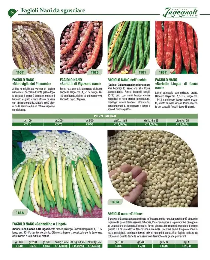 Novita 2025 da 4 novembre a 31 dicembre di 2025 - Pagina del volantino 35