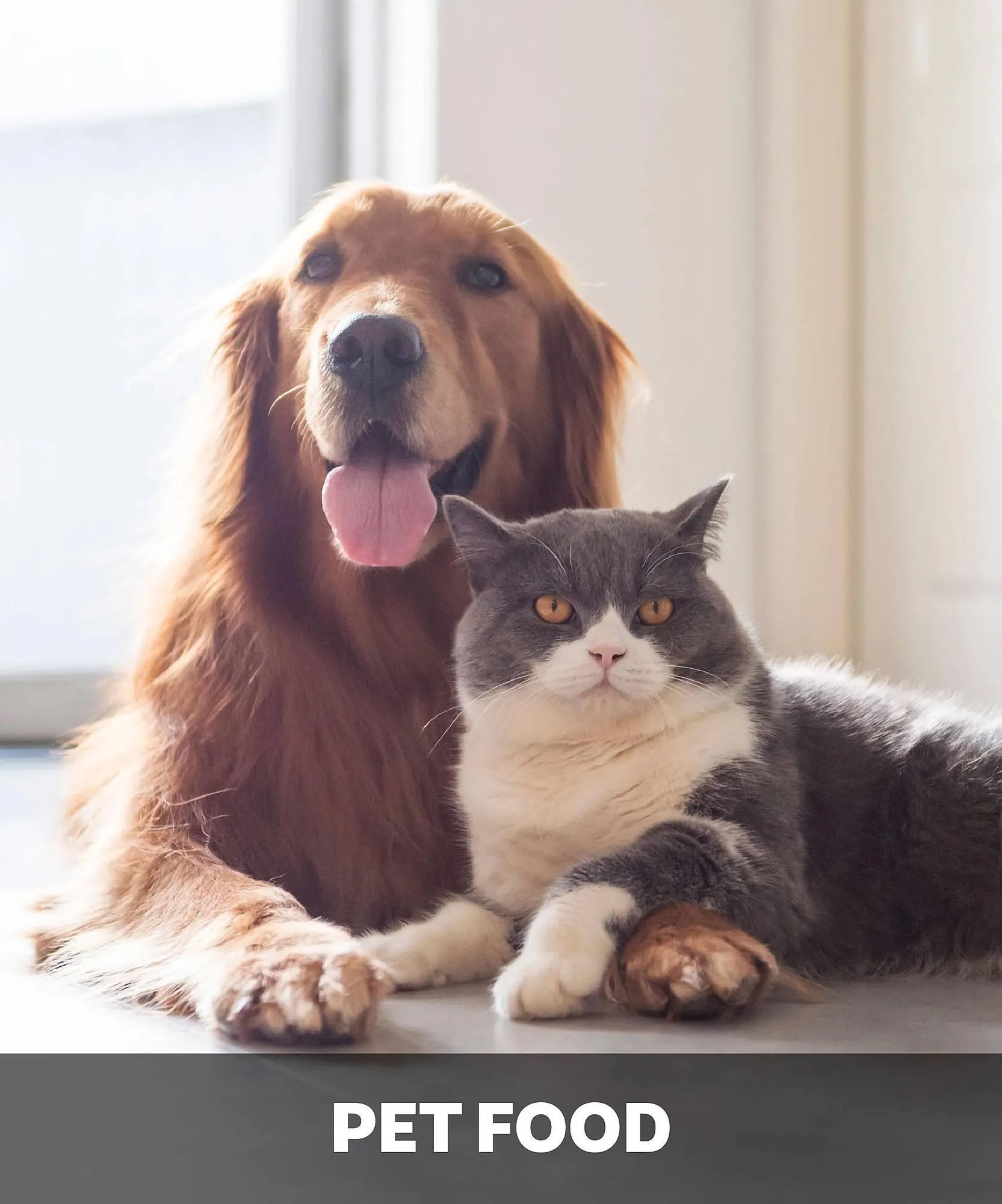 Volantino Max Factory da 8 ottobre a 2 novembre di 2025 - Pagina del volantino 33