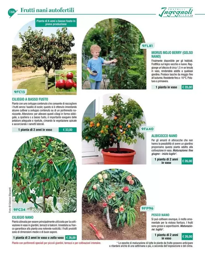 Catalogo guida 2025 da 20 gennaio a 31 dicembre di 2025 - Pagina del volantino 168