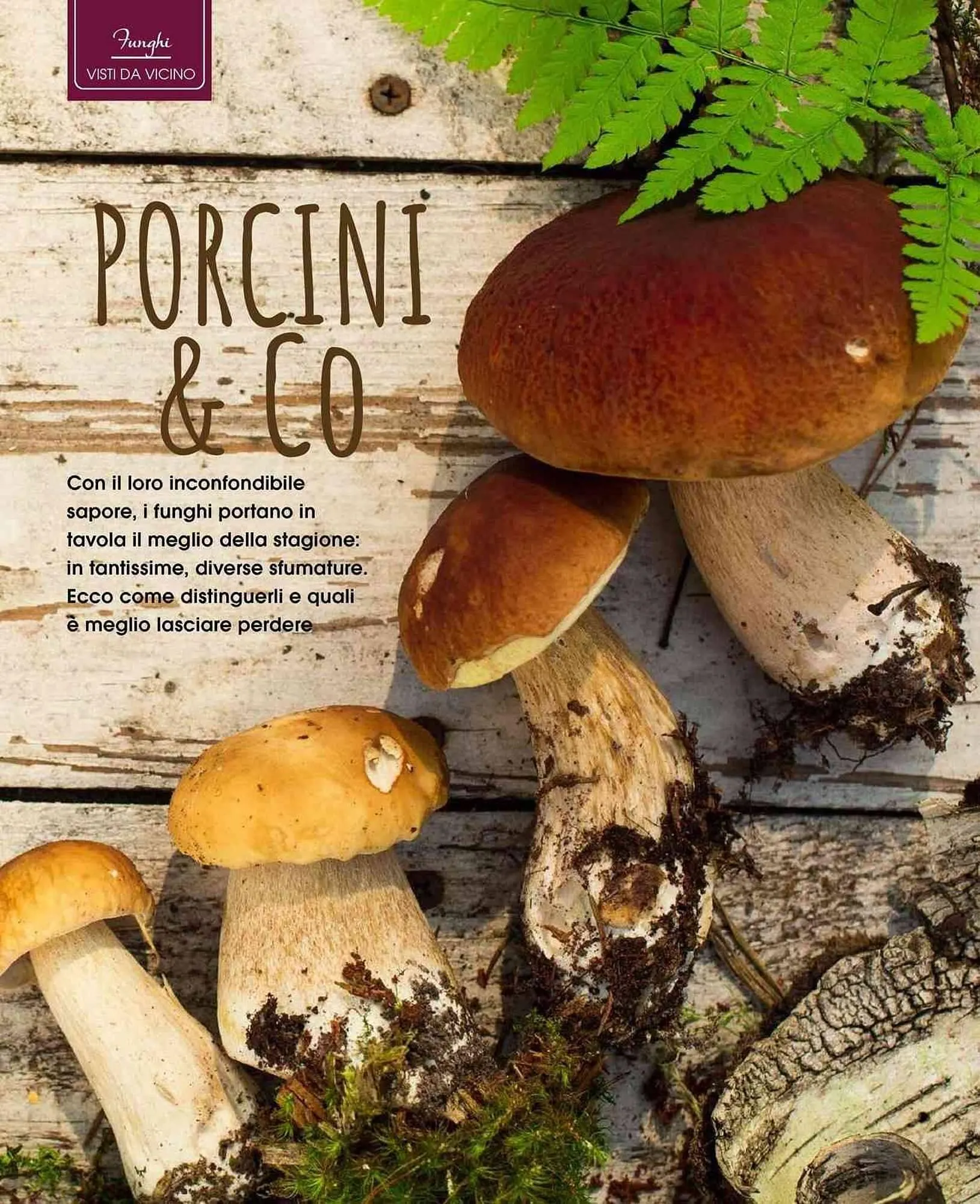 Volantino A&O da 1 settembre a 31 ottobre di 2025 - Pagina del volantino 5