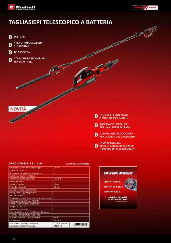 Giardinaggio 2025 da 11 febbraio a 31 dicembre di 2025 - Pagina del volantino 20