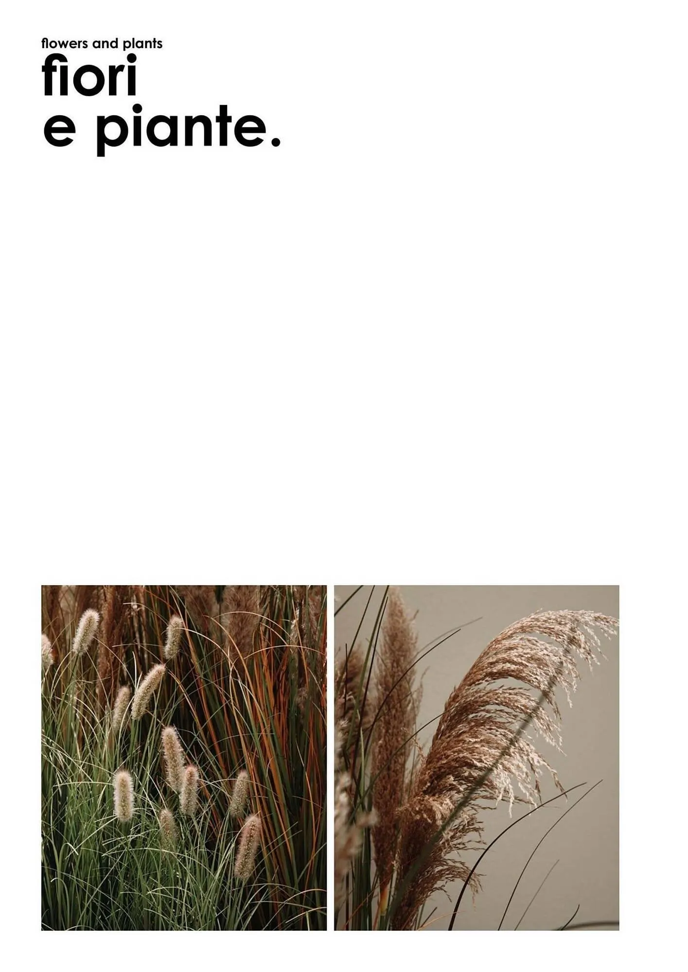 Volantino Bizzotto da 3 febbraio a 31 dicembre di 2025 - Pagina del volantino 79