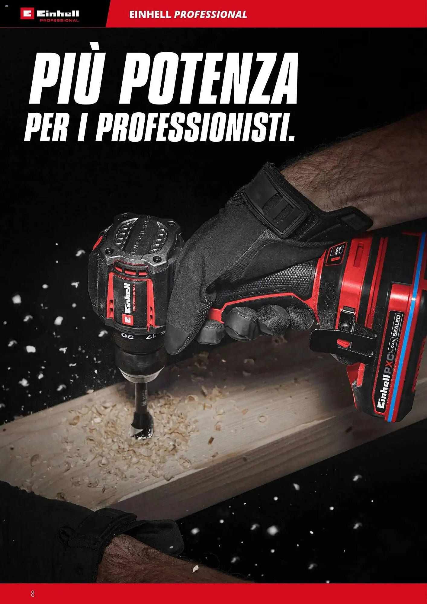 Volantino Einhell da 17 marzo a 31 dicembre di 2026 - Pagina del volantino 10