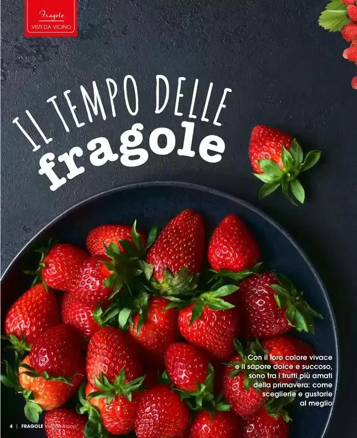 Catalogo A&O da 1 maggio a 30 giugno di 2025 - Pagina del volantino 5