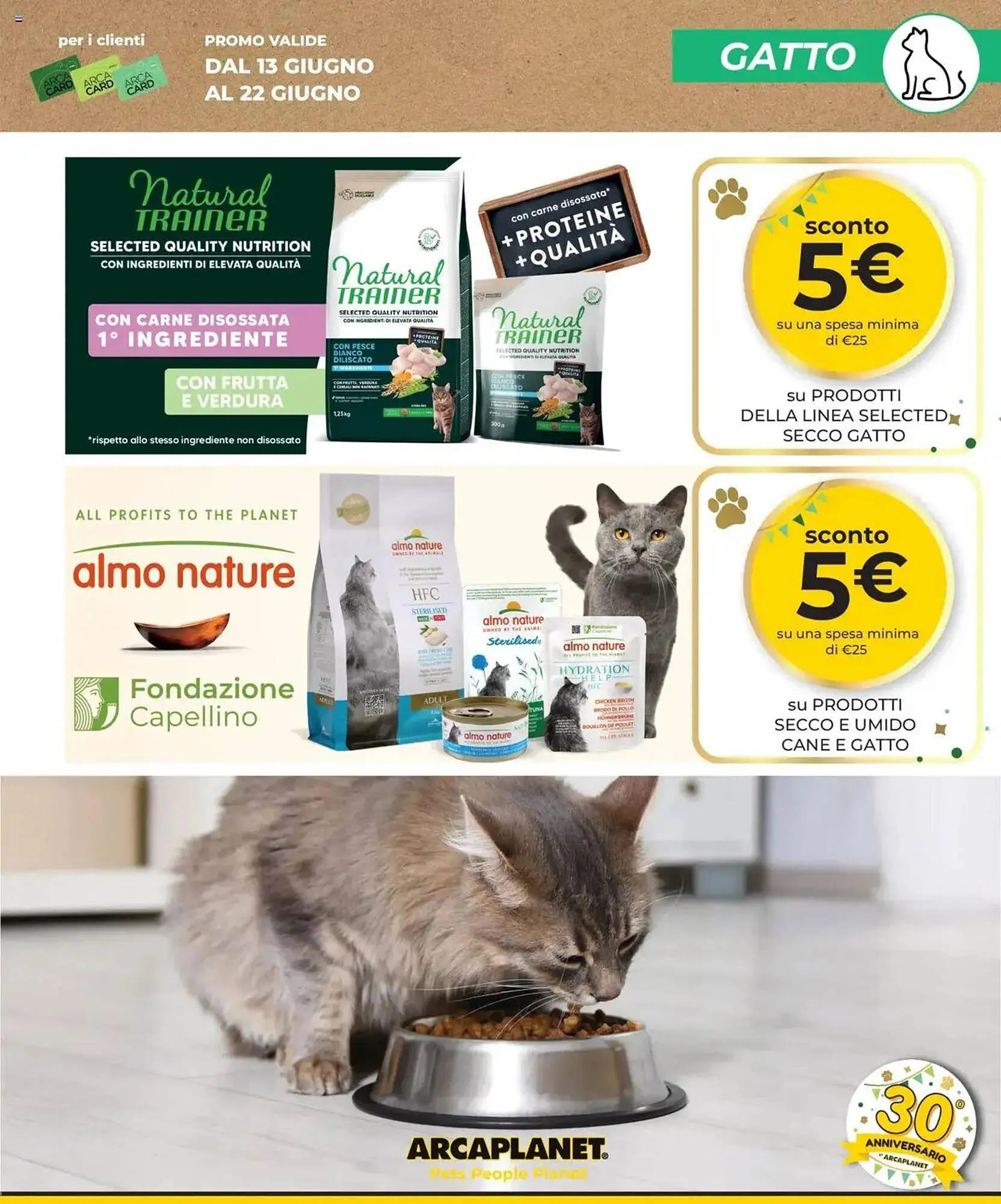 Volantino Arcaplanet da 13 giugno a 22 giugno di 2025 - Pagina del volantino 13