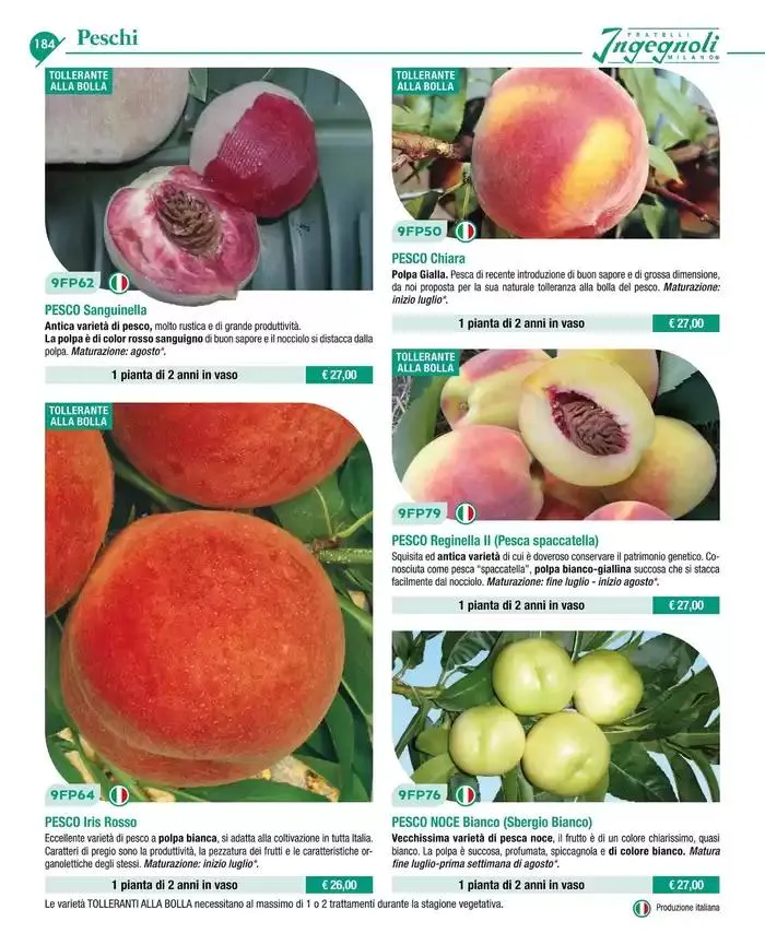 Catalogo guida 2025 da 20 gennaio a 31 dicembre di 2025 - Pagina del volantino 186