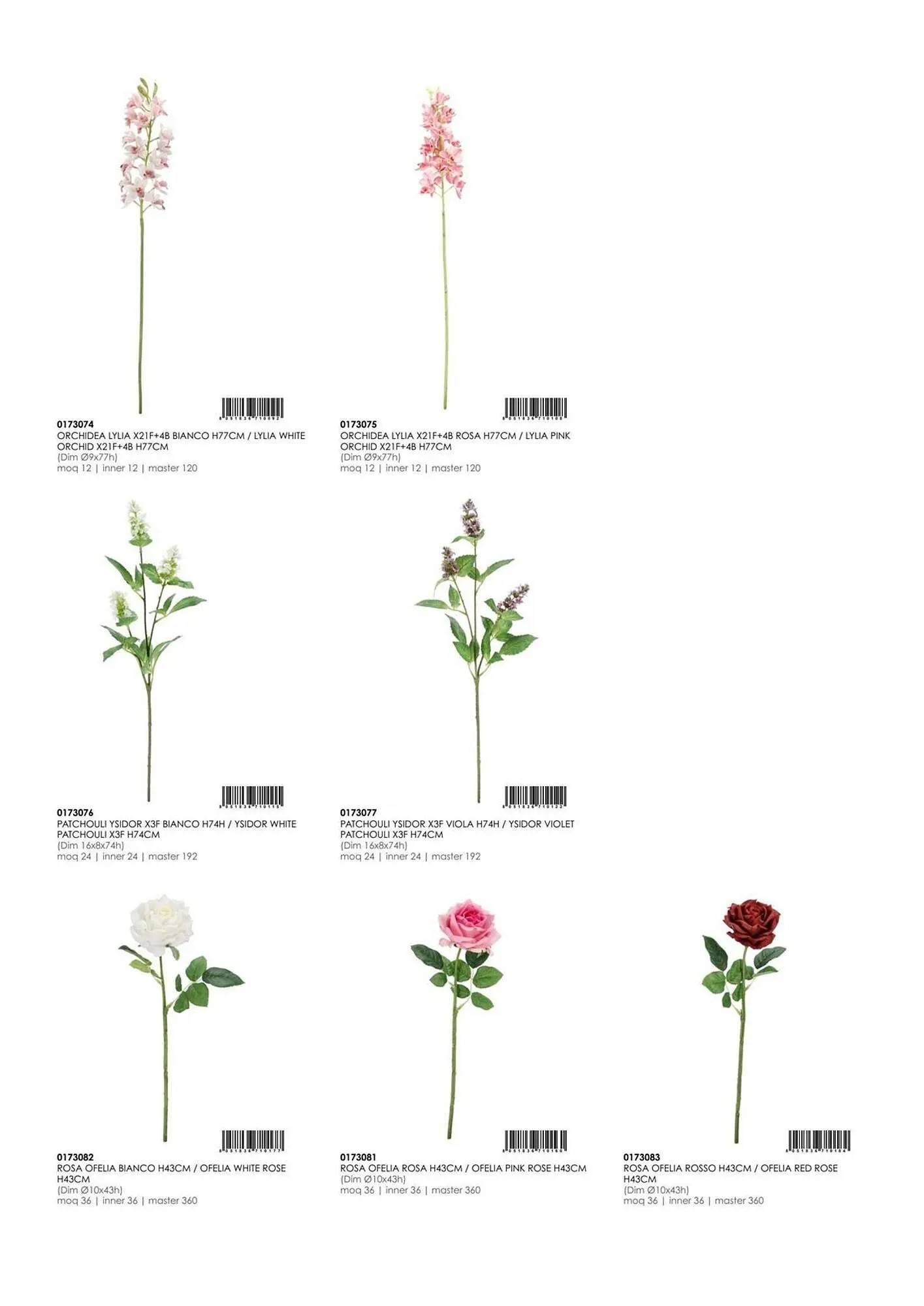 Volantino Bizzotto da 3 febbraio a 31 dicembre di 2025 - Pagina del volantino 81
