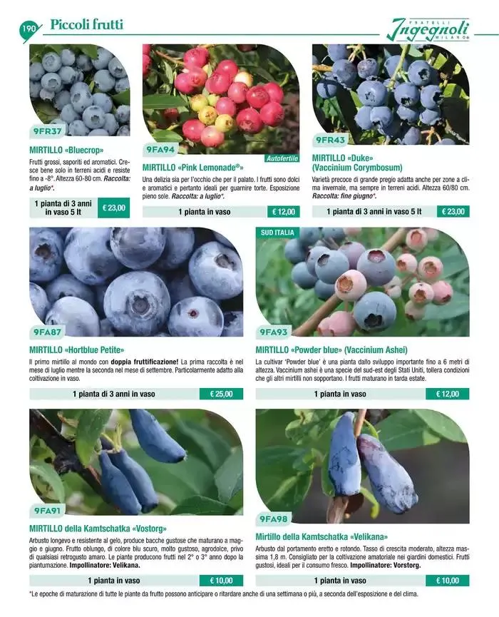 Catalogo guida 2025 da 20 gennaio a 31 dicembre di 2025 - Pagina del volantino 192