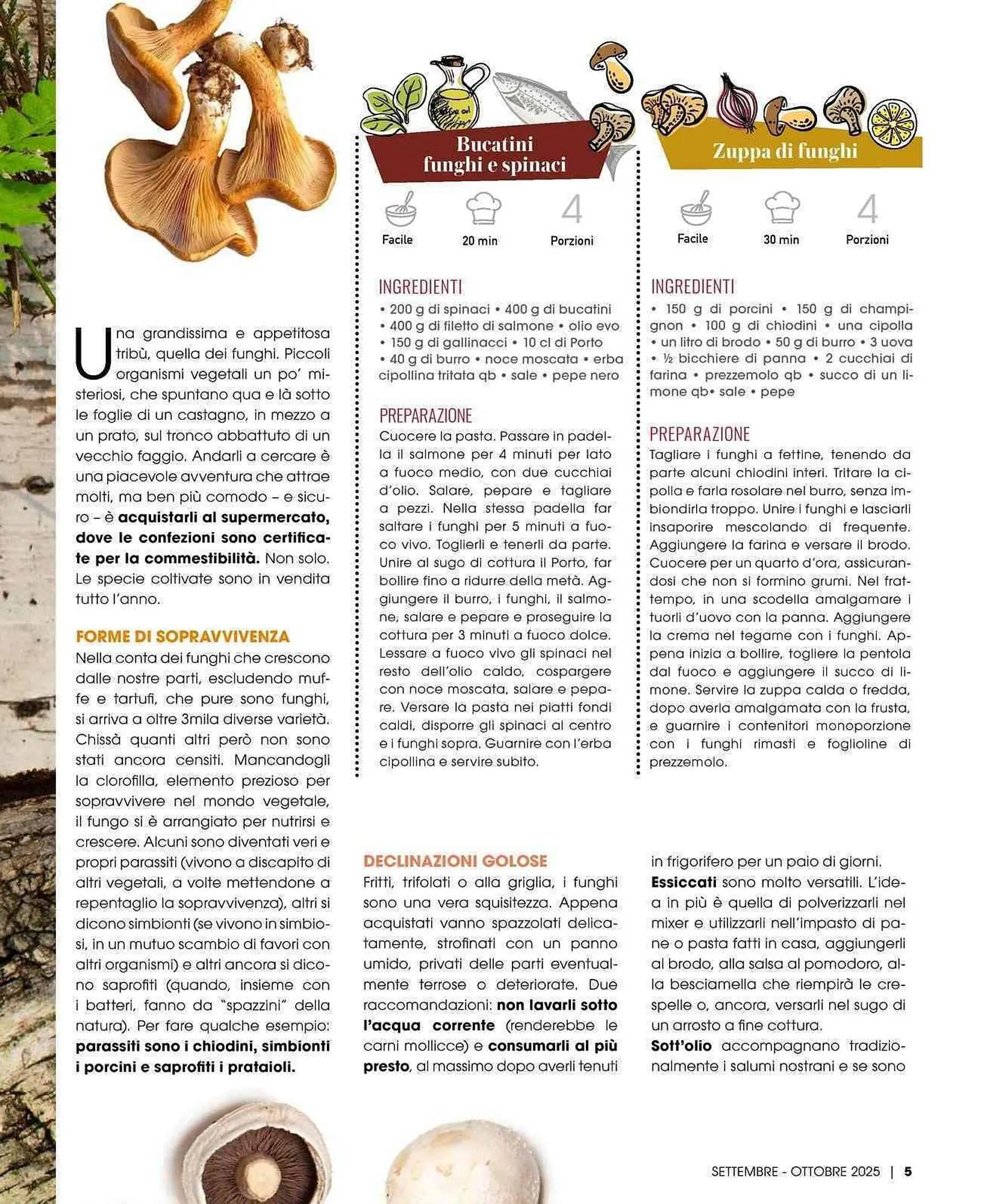 Volantino A&O da 1 settembre a 31 ottobre di 2025 - Pagina del volantino 6