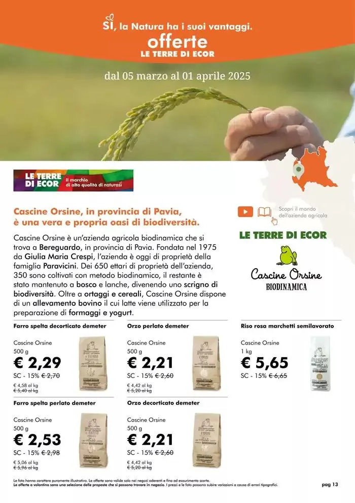 Offerte marzo 2025 da 1 marzo a 31 marzo di 2025 - Pagina del volantino 13