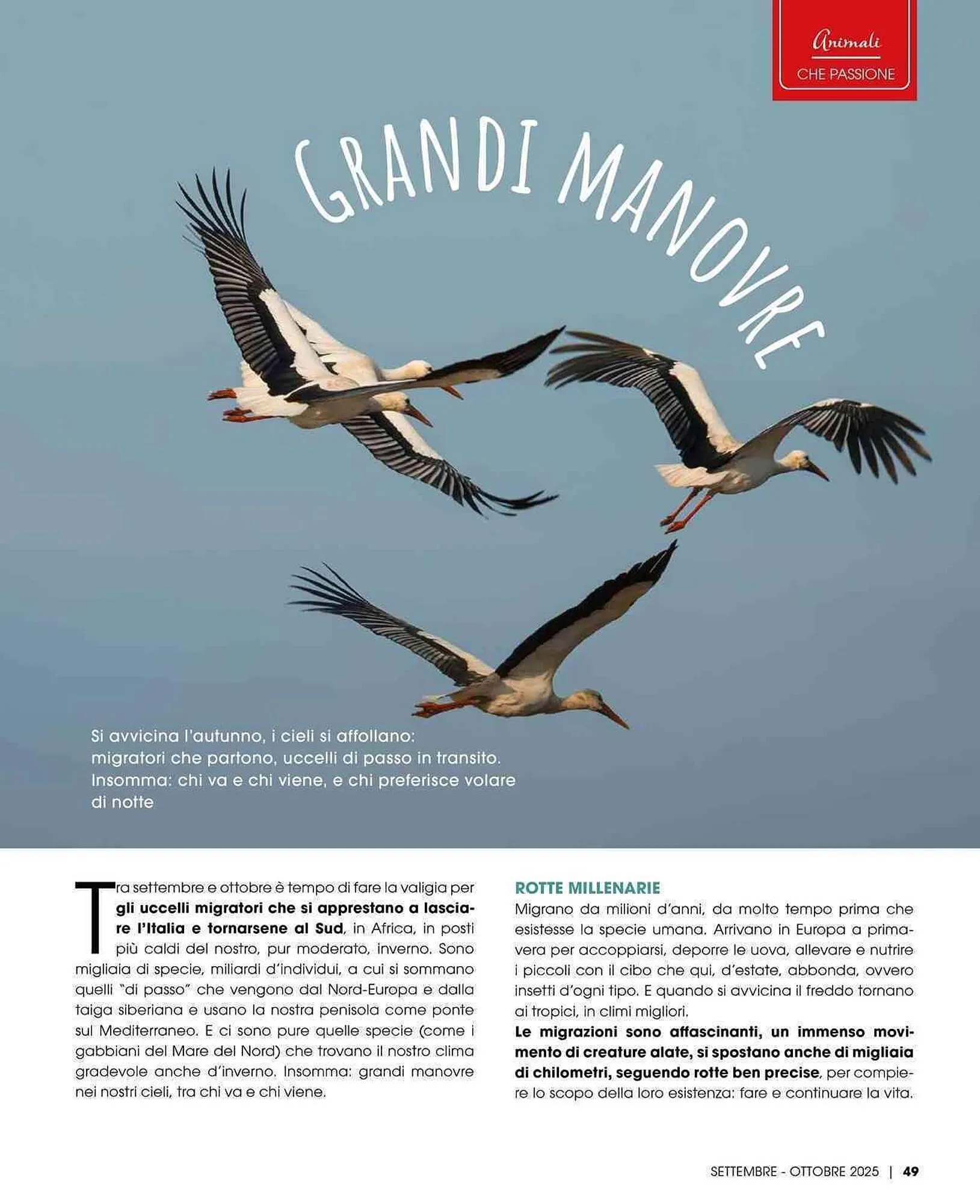 Volantino A&O da 1 settembre a 31 ottobre di 2025 - Pagina del volantino 50