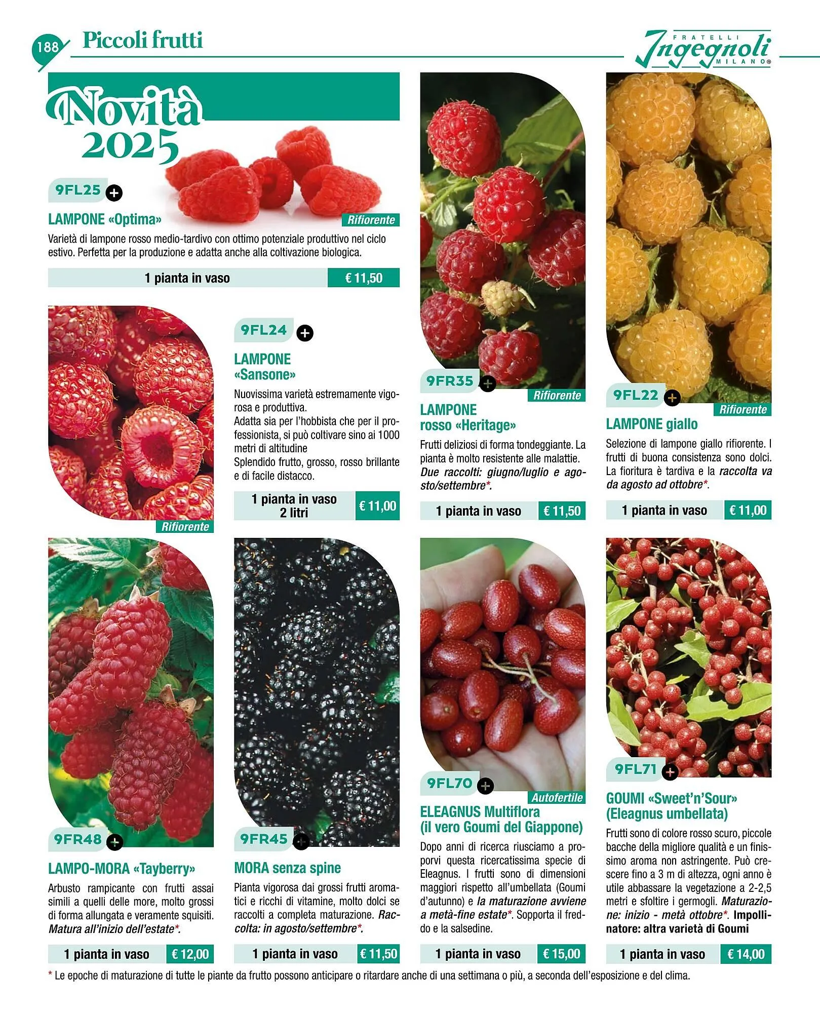 Volantino Ingegnoli da 4 novembre a 31 dicembre di 2025 - Pagina del volantino 190