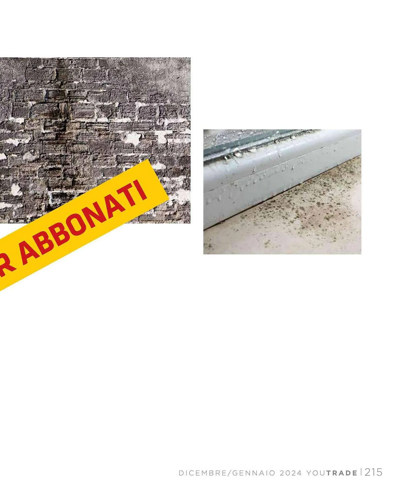 Volantino BigMat da 25 gennaio a 31 gennaio di 2024 - Pagina del volantino 217