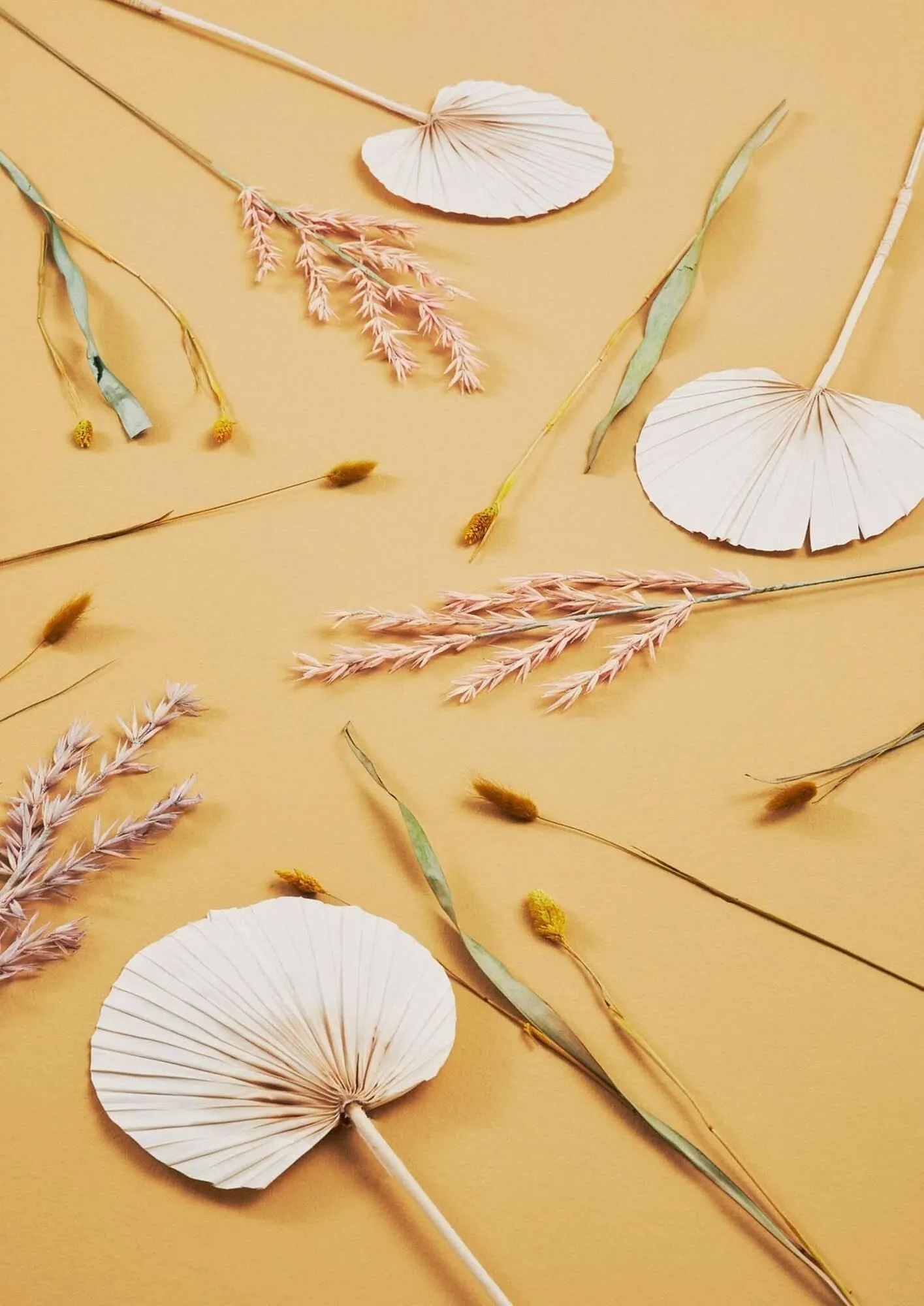 Volantino Bizzotto da 21 gennaio a 31 dicembre di 2025 - Pagina del volantino 170