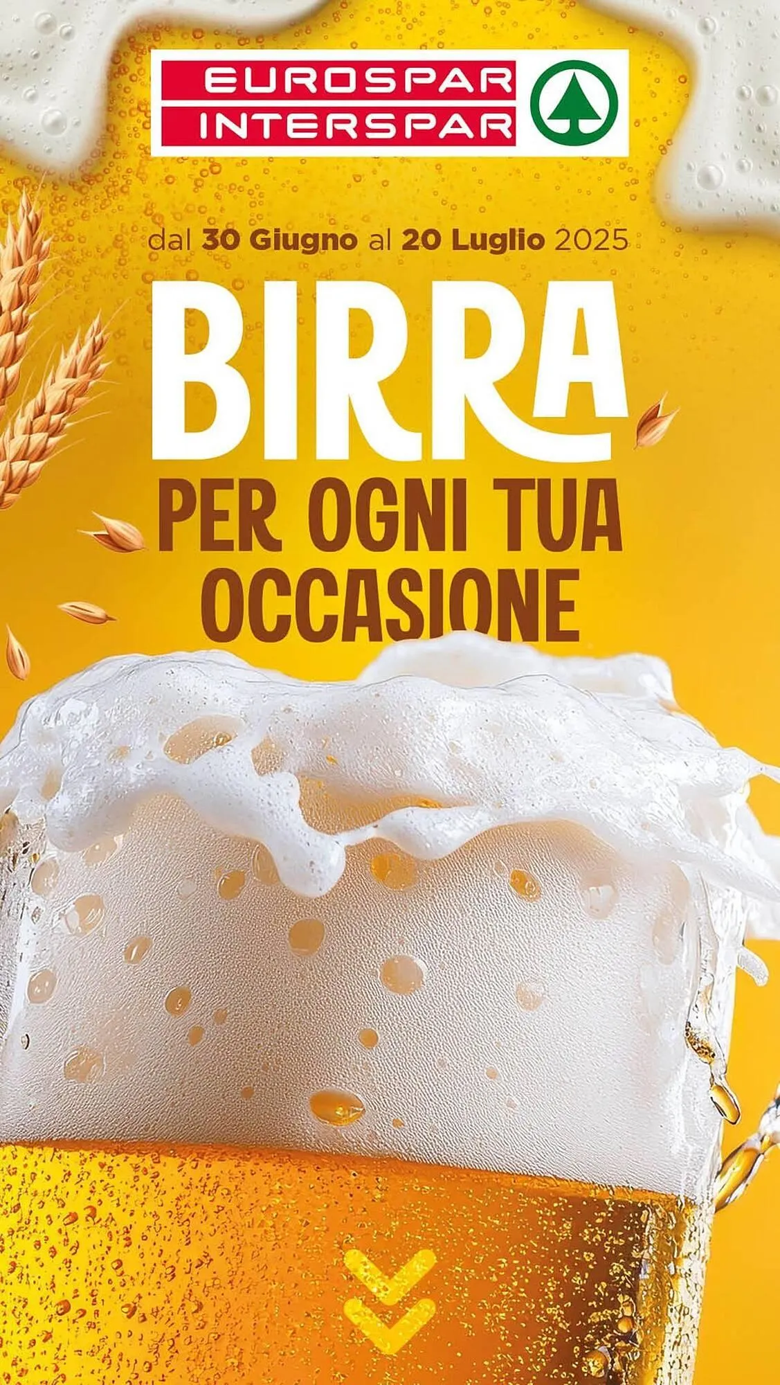 Volantino Eurospar - 1