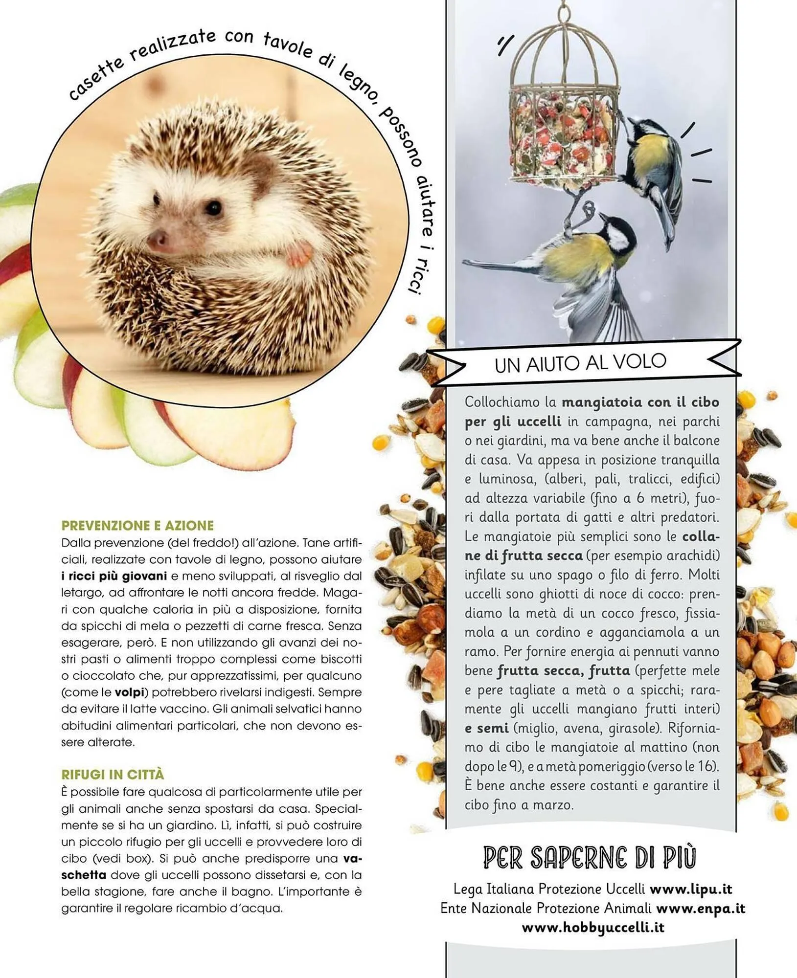 Volantino A&O da 1 gennaio a 28 febbraio di 2026 - Pagina del volantino 46