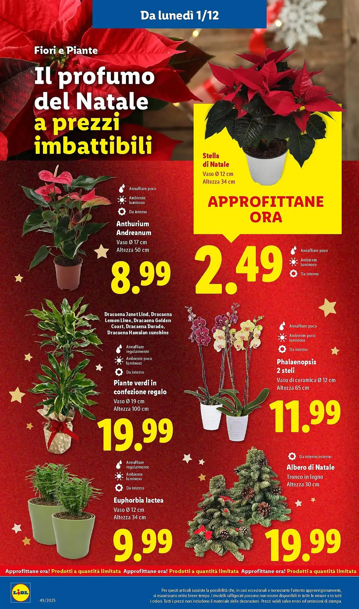 Volantino Lidl da 1 dicembre a 7 dicembre di 2025 - Pagina del volantino 46
