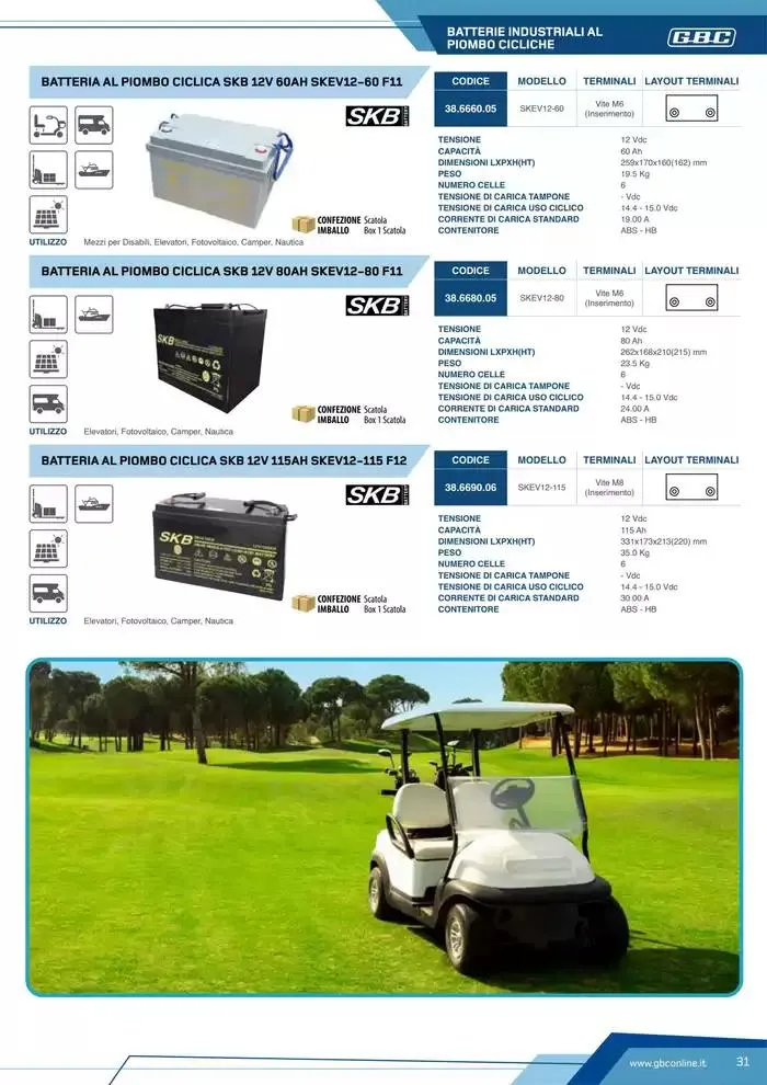 Catalogo Batteries and Power da 7 marzo a 31 dicembre di 2025 - Pagina del volantino 31