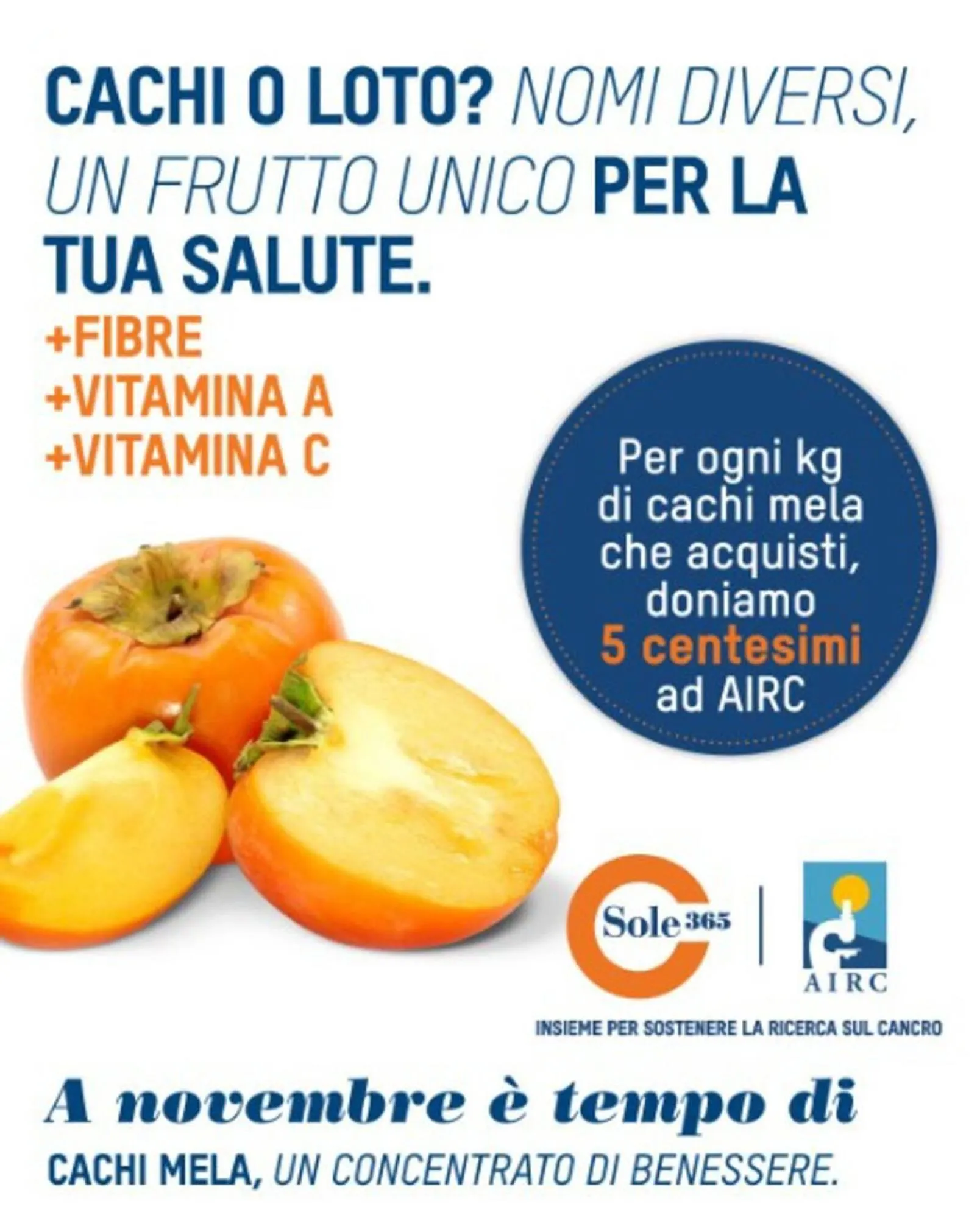 Volantino Sole 365 da 5 novembre a 30 novembre di 2025 - Pagina del volantino 1