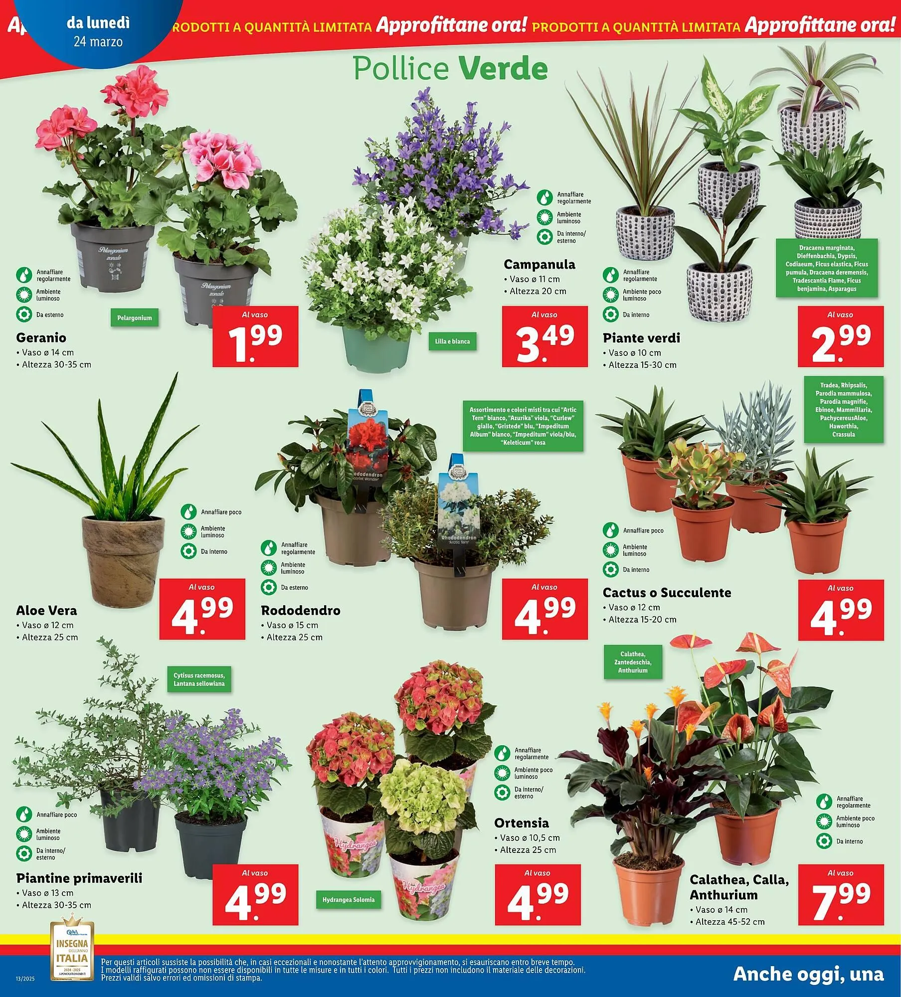 Volantino Lidl da 24 marzo a 30 marzo di 2025 - Pagina del volantino 30