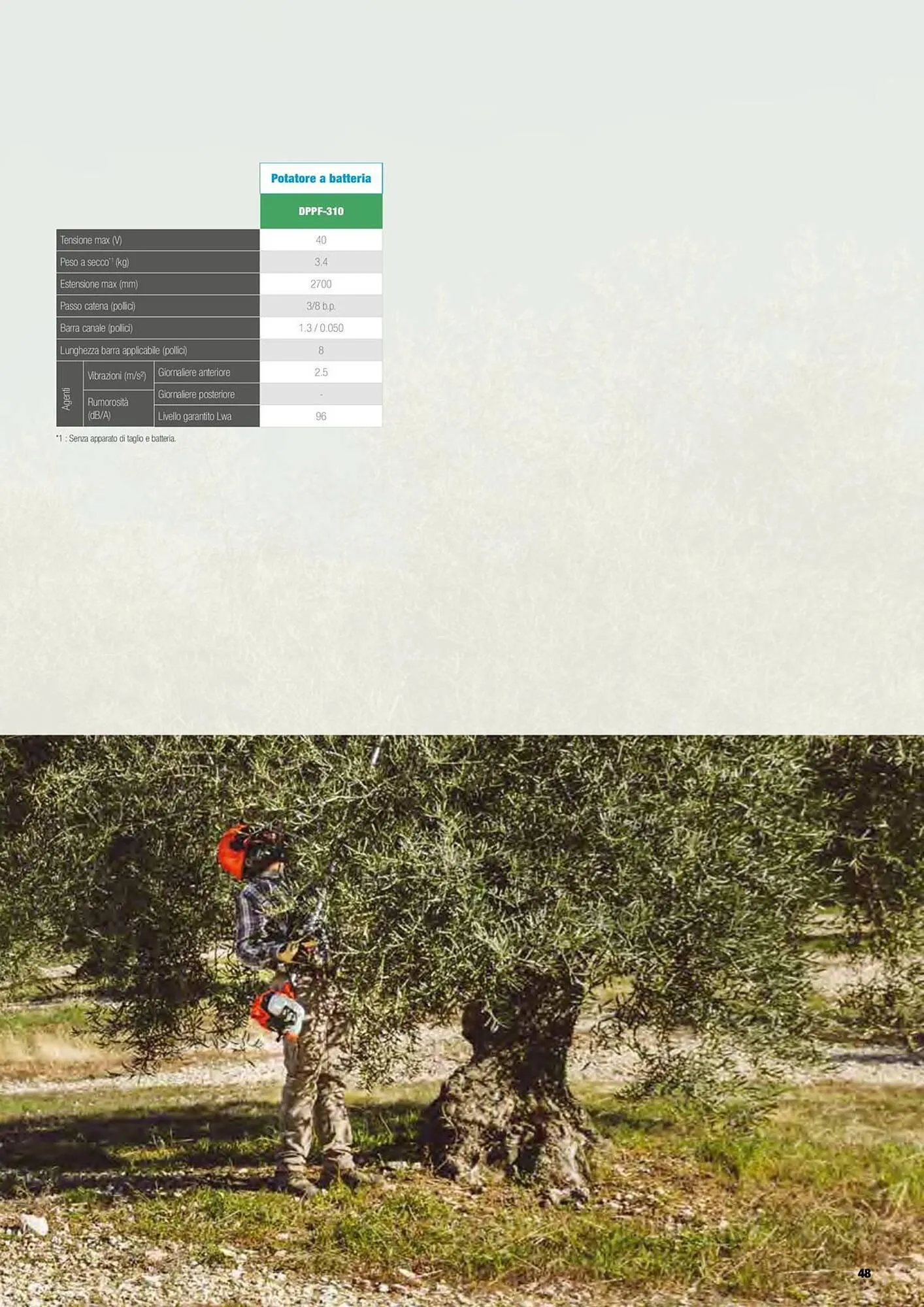 Volantino Echo da 17 febbraio a 31 dicembre di 2025 - Pagina del volantino 49