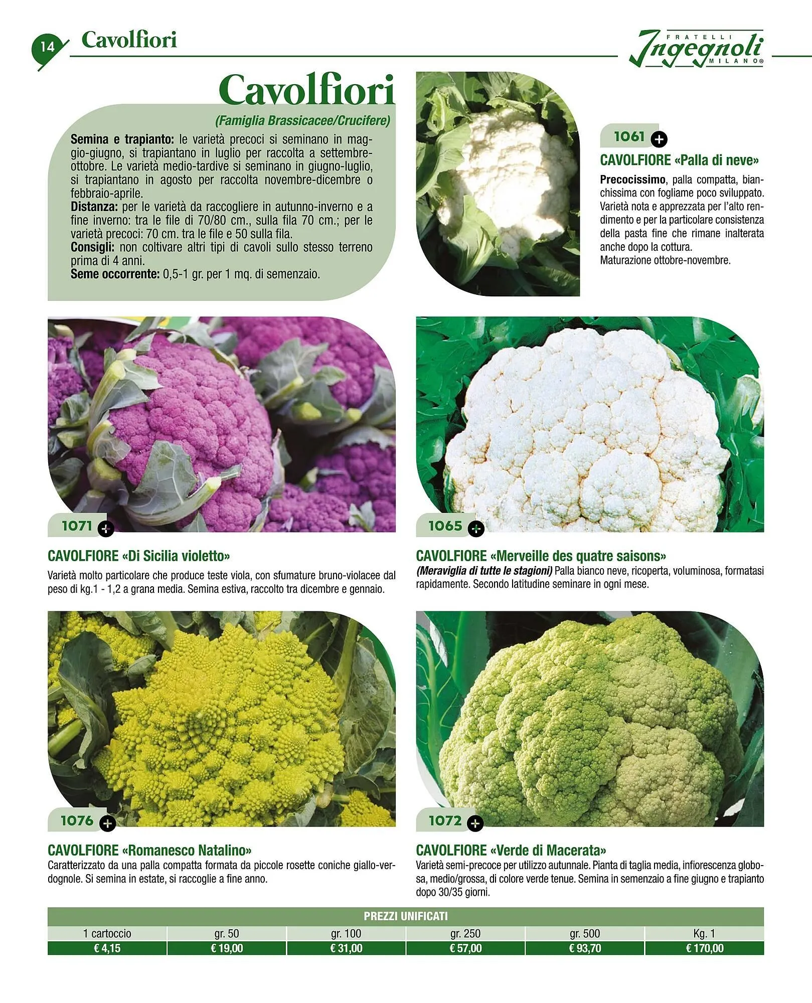 Volantino Ingegnoli da 4 novembre a 31 dicembre di 2025 - Pagina del volantino 16