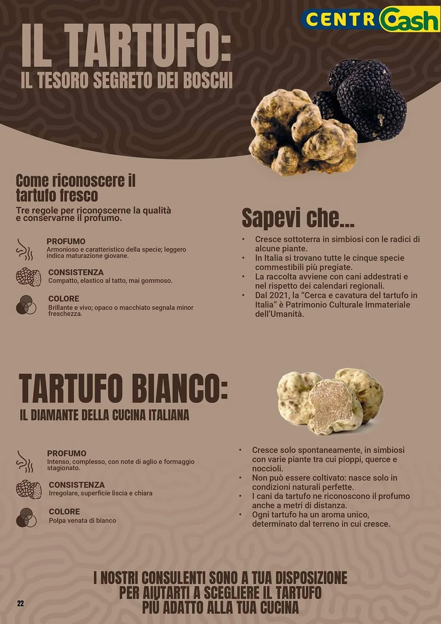 Volantino Centro Cash da 8 dicembre a 21 dicembre di 2025 - Pagina del volantino 22