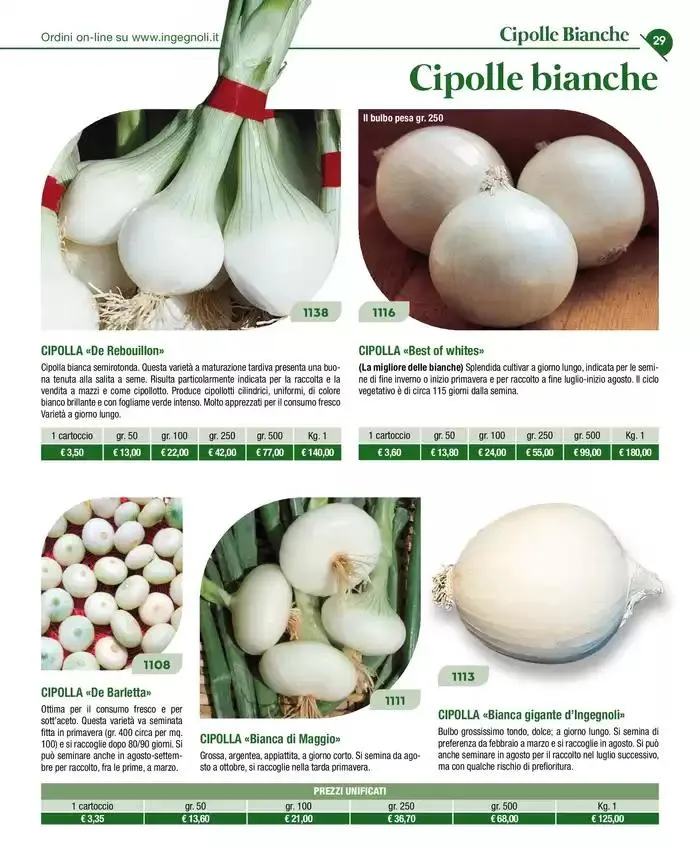 Novita 2025 da 4 novembre a 31 dicembre di 2025 - Pagina del volantino 28