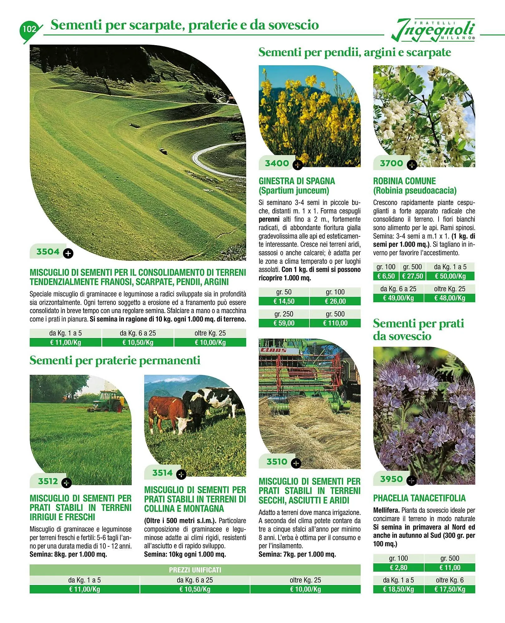 Volantino Ingegnoli da 4 novembre a 31 dicembre di 2025 - Pagina del volantino 104