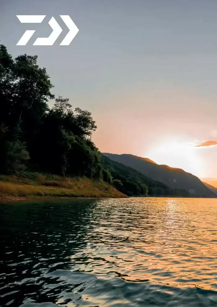 Catalogo 2025 da 4 febbraio a 31 dicembre di 2025 - Pagina del volantino 154