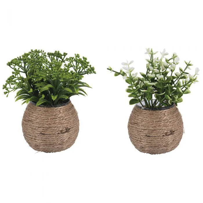 Piantina succulenta artificiale foglie verdi h. 15,5 cm