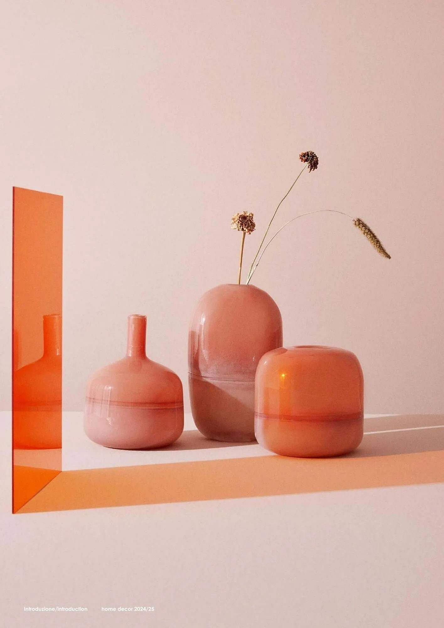 Volantino Bizzotto da 21 gennaio a 31 dicembre di 2025 - Pagina del volantino 12