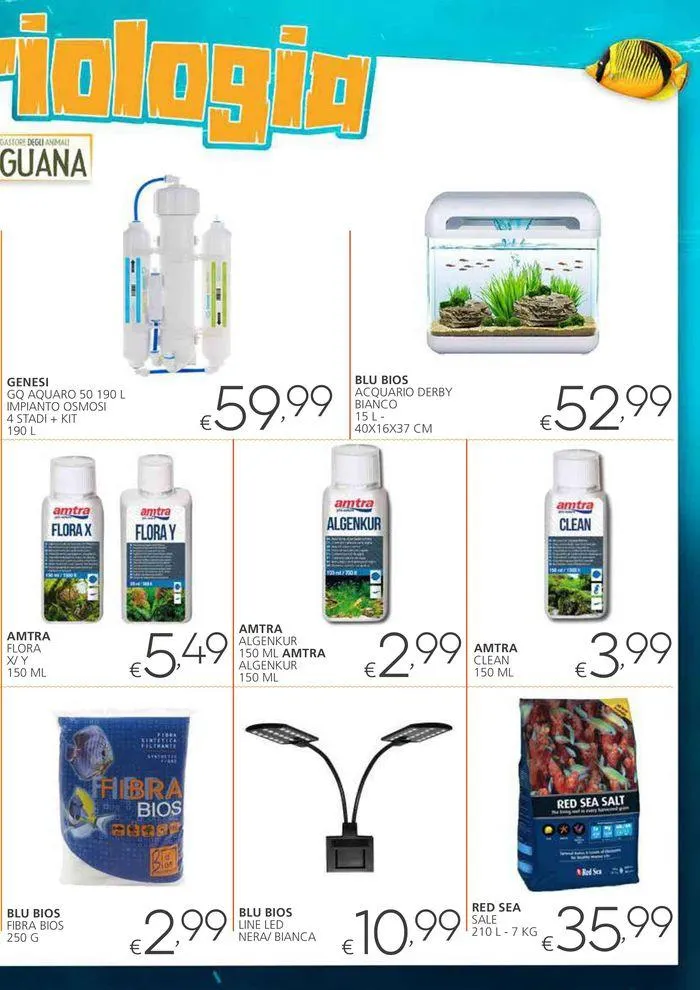 I megastore degli animali da 31 luglio a 25 agosto di 2024 - Pagina del volantino 7