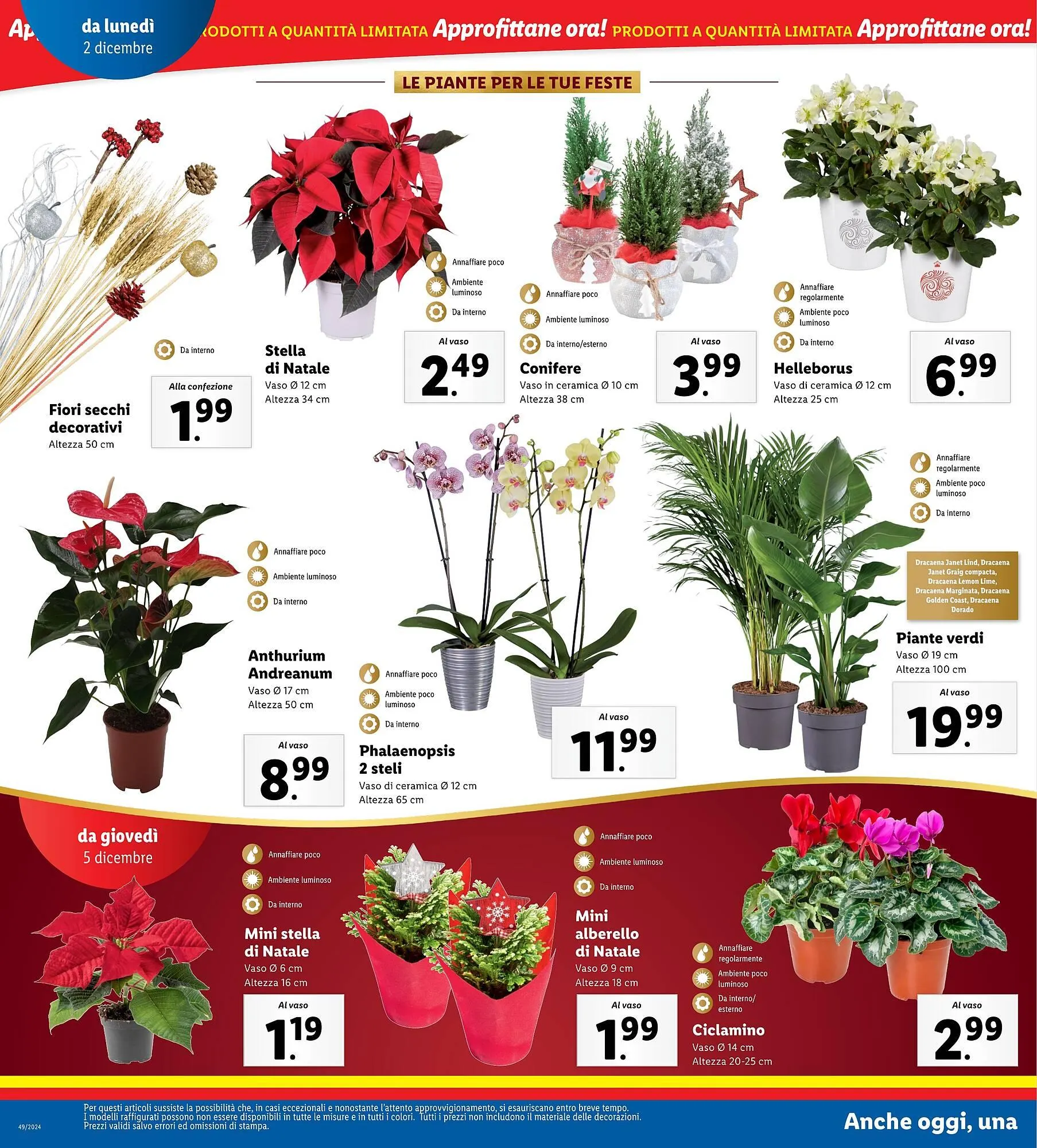 Volantino Lidl da 2 dicembre a 8 dicembre di 2024 - Pagina del volantino 30