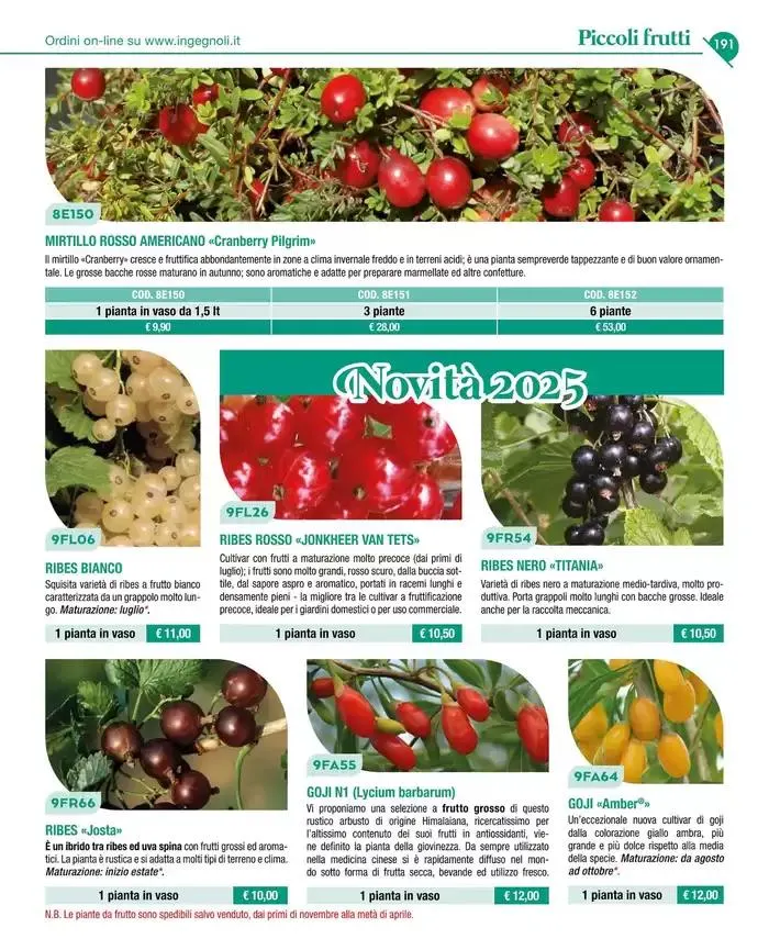 Catalogo guida 2025 da 20 gennaio a 31 dicembre di 2025 - Pagina del volantino 193