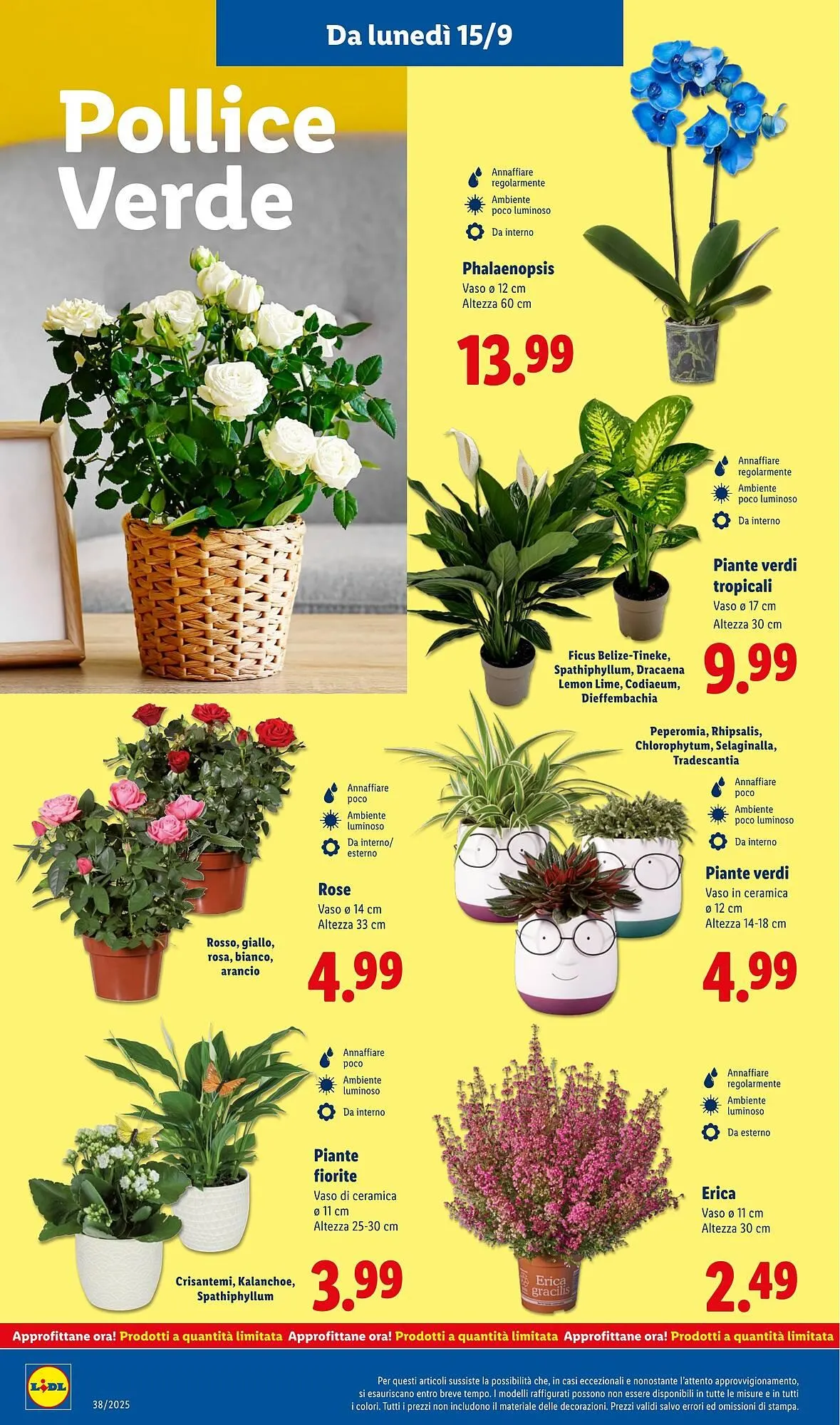 Volantino Lidl da 15 settembre a 21 settembre di 2025 - Pagina del volantino 46