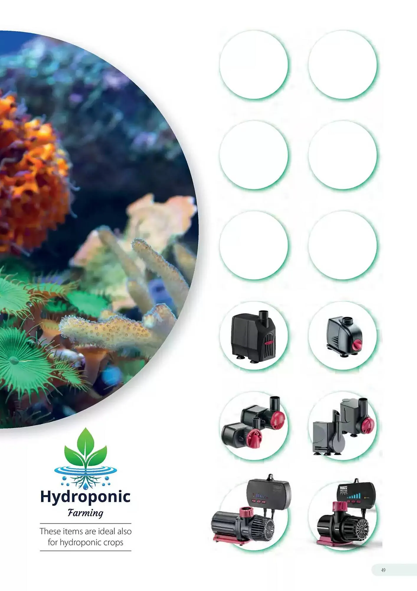 Volantino Ferplast da 13 dicembre a 31 dicembre di 2026 - Pagina del volantino 50