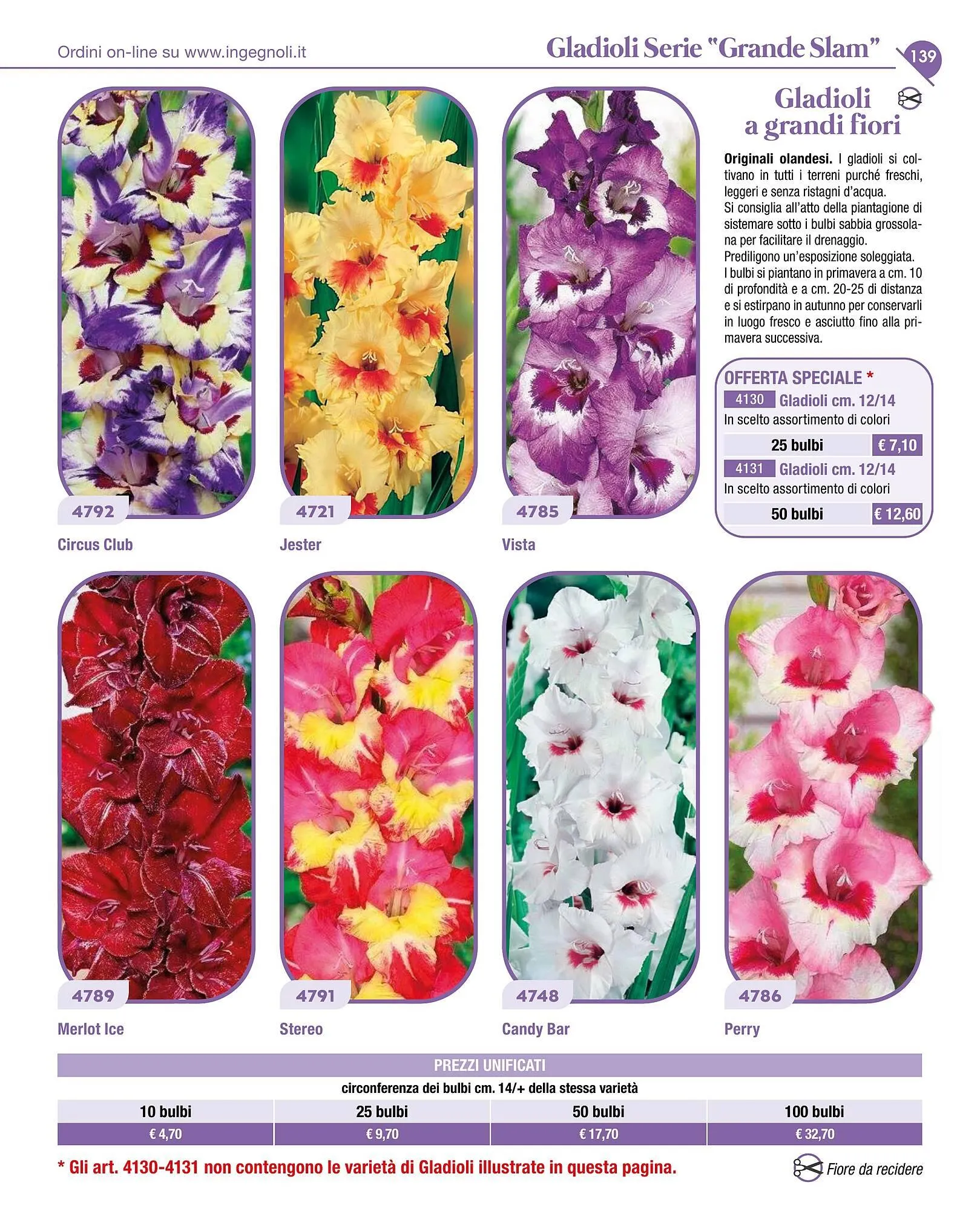 Volantino Ingegnoli da 4 novembre a 31 dicembre di 2025 - Pagina del volantino 141