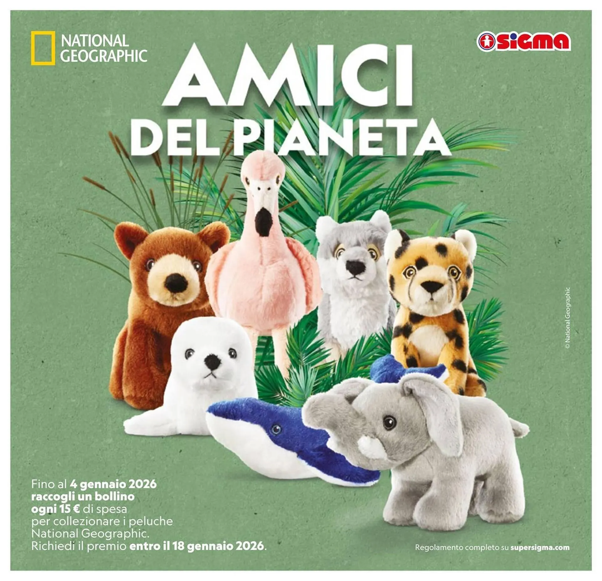 Volantino Sigma da 2 gennaio a 14 gennaio di 2026 - Pagina del volantino 13