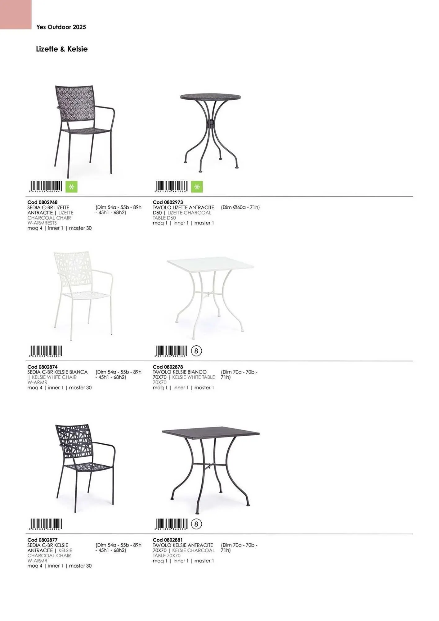 Volantino Bizzotto da 21 gennaio a 31 dicembre di 2025 - Pagina del volantino 53