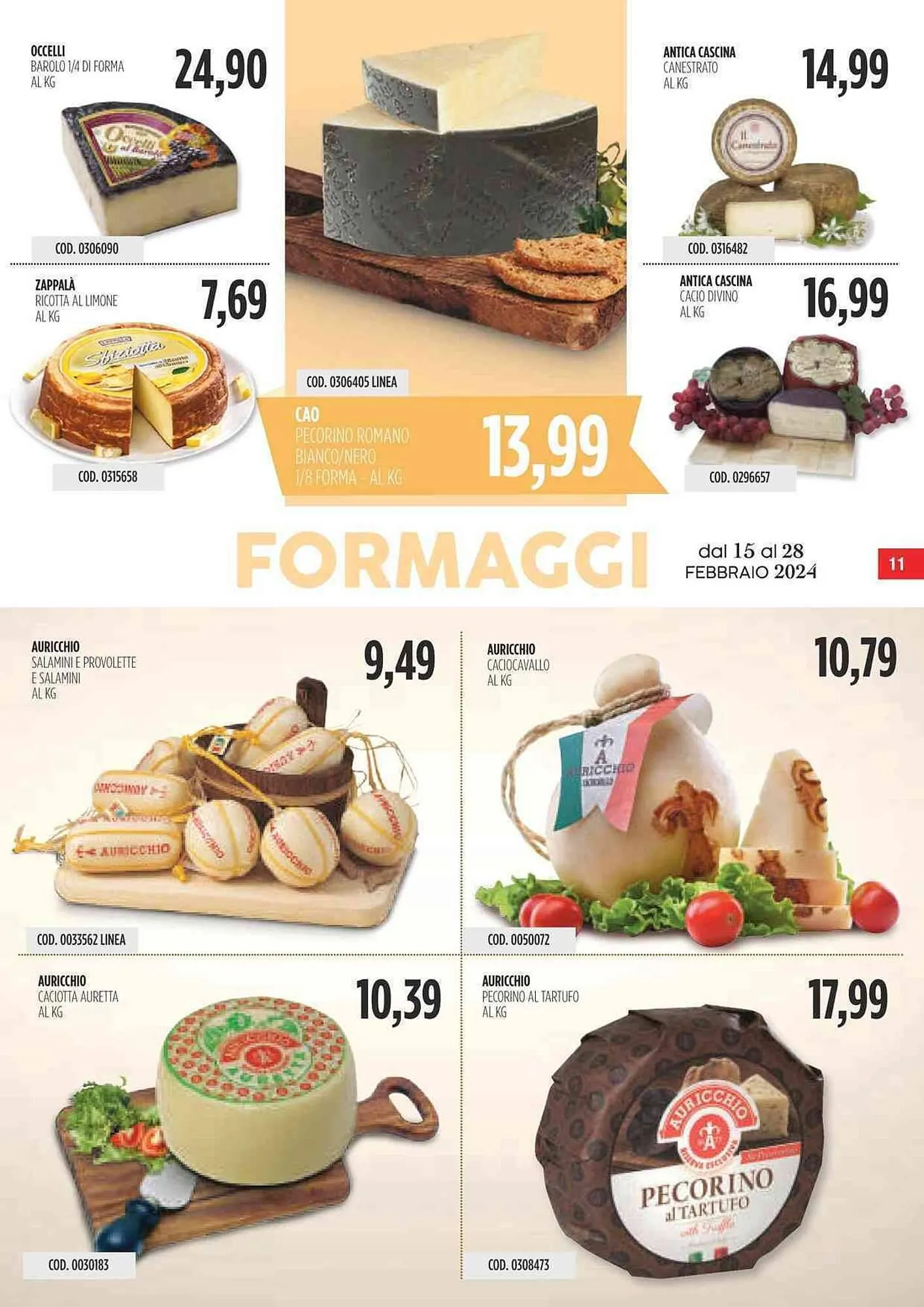 Volantino Carico Cash & Carry da 15 febbraio a 28 febbraio di 2024 - Pagina del volantino 11