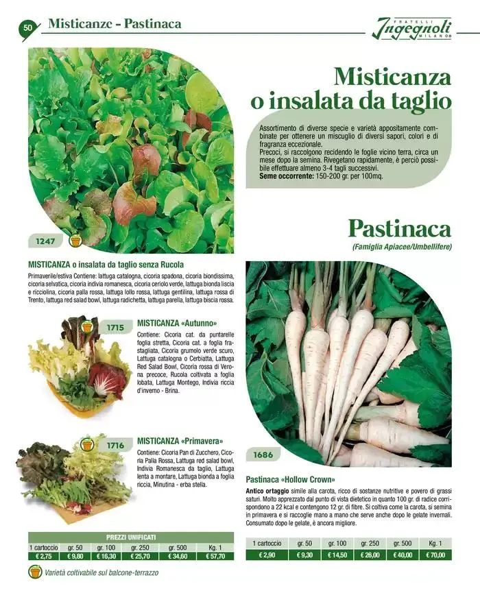 Novita 2025 da 4 novembre a 31 dicembre di 2025 - Pagina del volantino 49