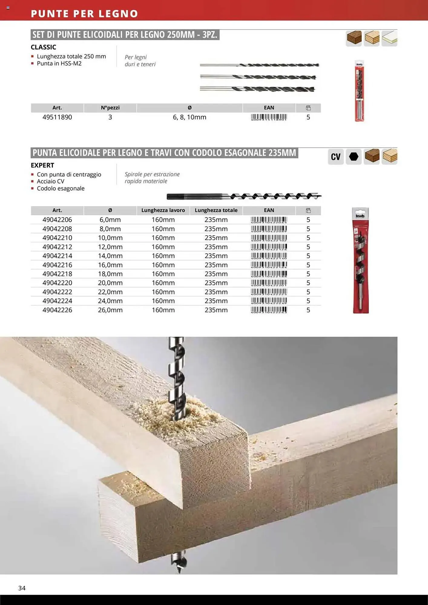 Volantino Einhell da 10 ottobre a 31 dicembre di 2025 - Pagina del volantino 36